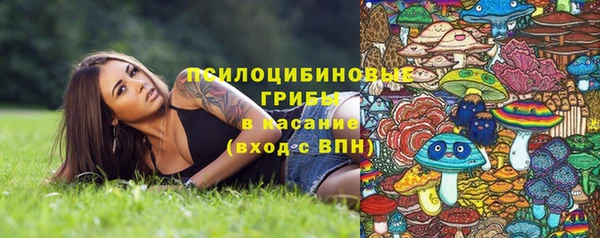 винт Алексин