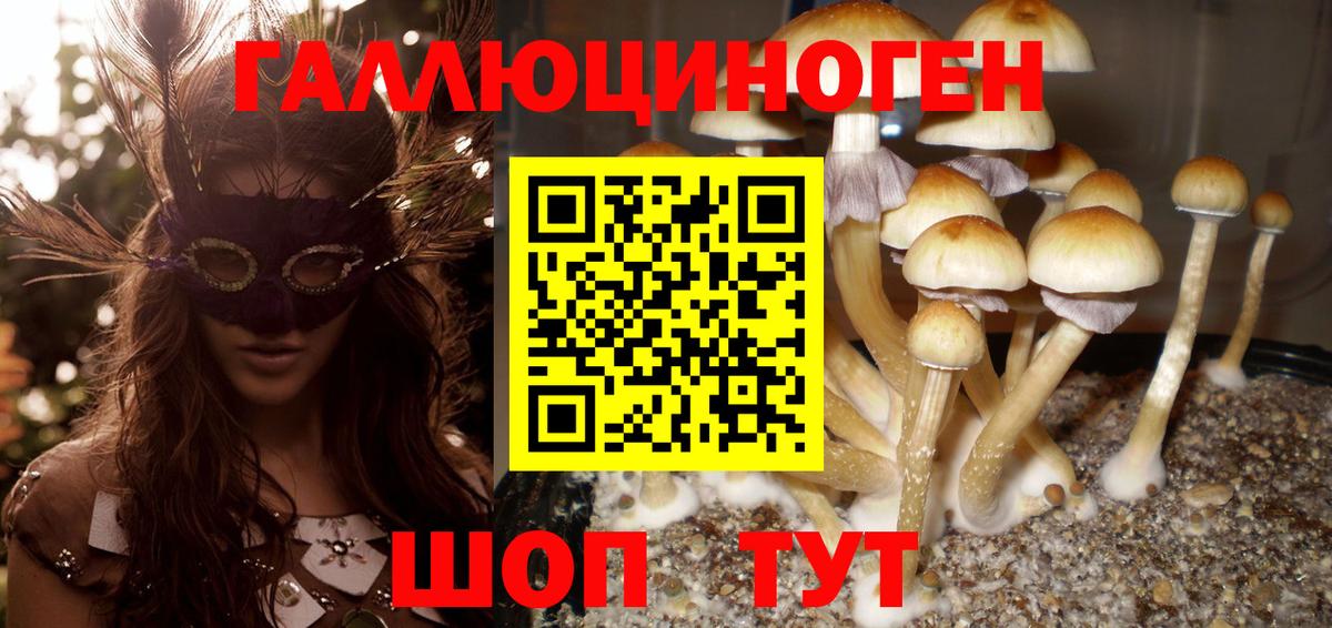 Первоуральск  Галлюциногенные грибы мухоморы  наркошоп  Псилоцибиновые грибы мицелий  Вход с VPN 