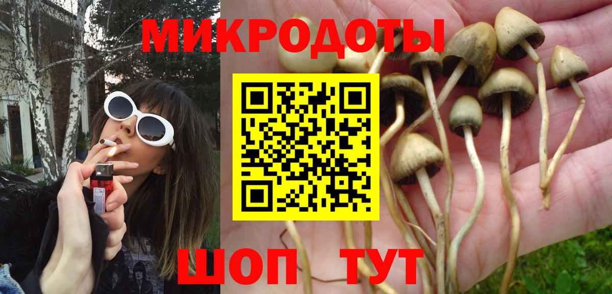 Галлюциногенные грибы Magic Shrooms Первоуральск